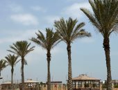 رياح مثيرة للرمال والأتربة وارتفاع في درجات الحرارة بمحافظة بورسعيد.. فيديو