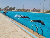تنفيذ دورة إنقاذ الغرقى والإسعافات الأولية بشمال سيناء   