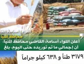 شون وصوامع المنيا تواصل استقبال القمح وتوريد 318 ألف طن منذ بدء الموسم