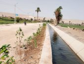 زراعة 500 شجرة جديدة بقرية نيدة بمحافظة سوهاج