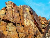 الكشف عن فن صخري عمره 3500 عام يجسد الأغنام البرية في كازاخستان