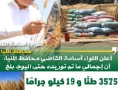 صوامع المنيا تواصل استقبال القمح وتوريد 357 ألف طن منذ بدء الموسم 