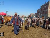 مع اقتراب عيد الأضحى.. معهد التغذية يكشف روشتة تناول اللحوم.. يؤكد: مصدر مهم للحديد والزنك وفيتامين «B12» لتقوية المناعة.. يحذر من الإفراط فى تناولها لتجنب مشاكل الجهاز الهضمى.. وتدعو للتقليل من حلويات اللحوم