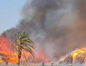 تفاصيل حريق ضخم فى إسرائيل.. والدفع بـ17 طاقم إطفاء للسيطرة على الوضع