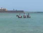 إقبال كبير من السياح على رحلات الخيول بشواطئ الغردقة.. فيديو