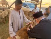 قس يشترى خروفا لمشاركة المسلمين فى احتفالاتهم بعيد الأضحى.. لايف