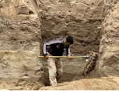 عمال محاجر فى قيرغيزستان يعثرون على عظام ماموث عملاق