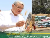 شون وصوامع المنيا تواصل استقبال القمح وتوريد 397 ألف طن منذ بدء الموسم