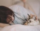 خمس نصائح لتوديع قطتك في نهاية حياتها بسلام