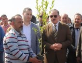 زراعة الأشجار بمدينة مطوبس ضمن المبادرة الرئاسية "100 مليون شجرة"