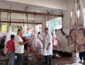 استقبال 525 رأس ماشية وذبحها مجانا بمجازر القليوبية في ثانى أيام عيد الأضحى