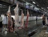 استقبال 226 رأس ماشية وذبحها بالمجان بمجازر القليوبية في أول أيام عيد الأضحى