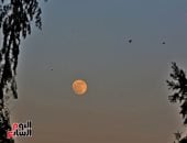 قمر الفراولة.. قمر ذو الحجة يزين سماء مصر  ويصل البدر المكتمل غدا