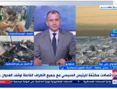 أستاذ علوم سياسية: جهود مصر متواصلة لتنفيذ الهدنة ووقف العدوان على غزة
