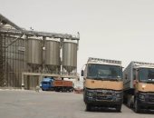 توريد 438 ألف طن من القمح لصوامع محافظة أسوان
