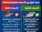 كيف تفرق بين الأسماك الطازجة والتالفة؟ وزارة الصحة تجيب فى إنفوجراف