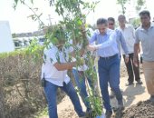 محافظ الغربية يشارك فى زراعة 530 شجرة ضمن المبادرة الرئاسية