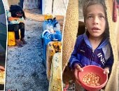 متحدث باسم اليونسيف لـ"اليوم السابع": 100 طفل بين شهيد وجريح يوميا فى غزة