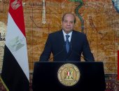 الرئيس السيسى: المصريون قالوا كلمتهم وحفظوا وطنهم فى ثورة 30 يونيو