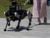 علماء يخترعون روبوتا على شكل كلب بـ 6 أرجل لإرشاد المكفوفين وضعاف البصر