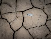 "بركة الموت" مشروع مصور سلوفاكى لرصد مشاهد مؤلمة لأزمة الجفاف في تايوان