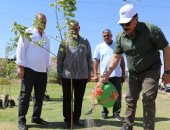 محافظ أسوان يغرس مجموعة من الأشجار ضمن مبادرة 100 مليون شجرة.. صور 