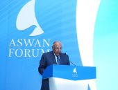 وزير الخارجية: مصر ترى أهمية تطبيق مبدأ الحلول الإفريقية لمشاكل القارة 