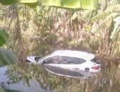 سقوط سيارة فى المياه أثناء حفل زفاف بالدقهلية ووجود مصابين