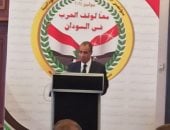 الخارجية المصرية تؤكد استمرار جهودها من أجل وقف الحرب فى السودان