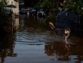 إعصار بيريل يضرب تكساس برياح شديدة وفيضانات عارمة