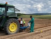 مزارعو فرنسا: نواجه انخفاضا حادا فى إنتاج القمح وخسارة 20% بالمحاصيل بسبب الحر