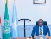 سفير الصومال يشيد بمستوى العلاقات مع مصر ويثمن دورها المحوري