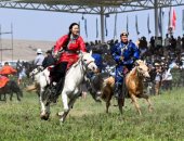 فعاليات مهرجان منغوليا الداخلية بالصين