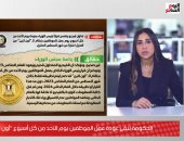 الحكومة تنفى عودة عمل الموظفين يوم الأحد من كل أسبوع "أون لاين" من المنزل.. فيديو