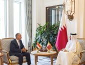 وزير الخارجية يؤكد لرئيس وزراء قطر ضرورة الوقف فورى لإطلاق النار فى غزة
