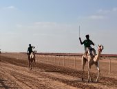 ختام مهرجان سباق الهجن فى العلمين بأشواط تراثية تحاكى العصور القديمة.. صور