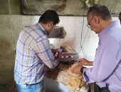 تحرير 38 محضر نقص أوزان وإنتاج خبز بمواصفات سيئة فى الغربية