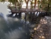  الكنز البكر فى الصحراء.. عيون كبريتية برأس سدر تستقطب السياح للعلاج