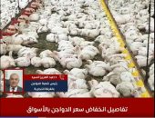 تفاصيل تراجع سعر الدواجن بالأسواق اليوم.. فيديو