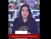 اعرف شروط القيد في الموسم الجديد بالدوري المصري.. فيديو