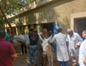 بيطرى الجيزة يطلق 36 قافلة علاجية مجانية لخدمة المربين بمناسبة عيد الفلاح