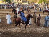 خيالة الصعيد متعة تانية.. شاهد احتفالات مرماح الخيول فى مولد النبى بالأقصر