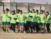 المقاولون العرب يعلن تشكيل قطاع الكرة النسائية للموسم 2025 - 2026