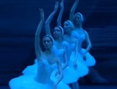 باليه بحيرة البجع على مسرح سيد درويش بالإسكندرية.. 2 أكتوبر  