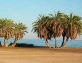 محميات جنوب سيناء.. جواهر طبيعية تتألق بين الجبال وعلى شواطئ البحر الأحمر