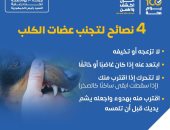 الصحة تكشف 4 نصائح هامة لتجنب "عضة الكلب".. تفاصيل