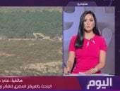 باحث: إسرائيل ترغب فى القضاء على جميع مواقع حزب الله