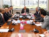 وزير الصناعة يستقبل وفد يازاكى للأنظمة الكهربائية لبحث موقف الشركة بالفيوم