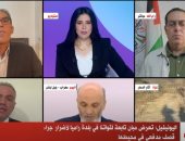باحث سياسي: لبنان يعيش إشكالية كبرى سببها التشارك السيادي