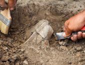 اكتشاف أثرى يعود إلى العصر الحجرى عمره 5000 عام بالدنمارك.. كشف عن سر جديد